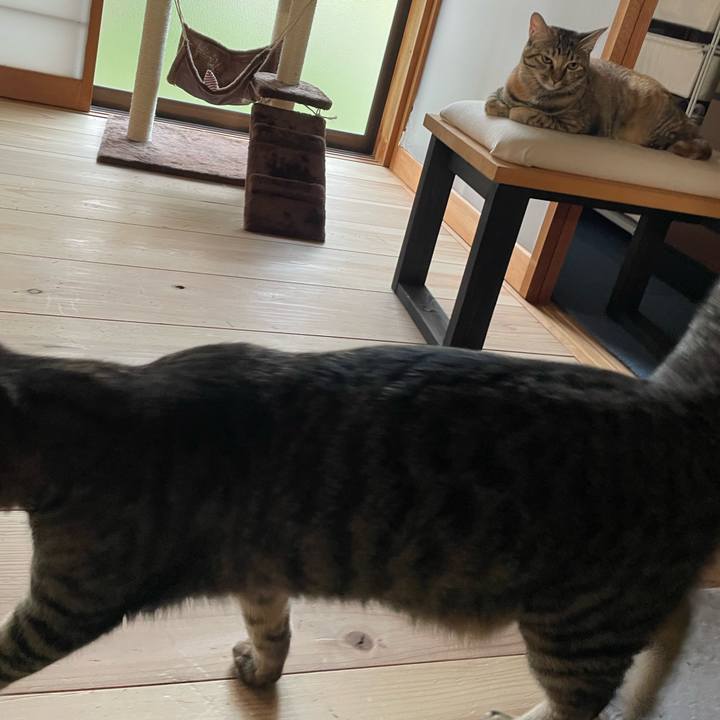 D0fc00a0 736b 4e29 a1c6 9581da1837b5 1758060122975