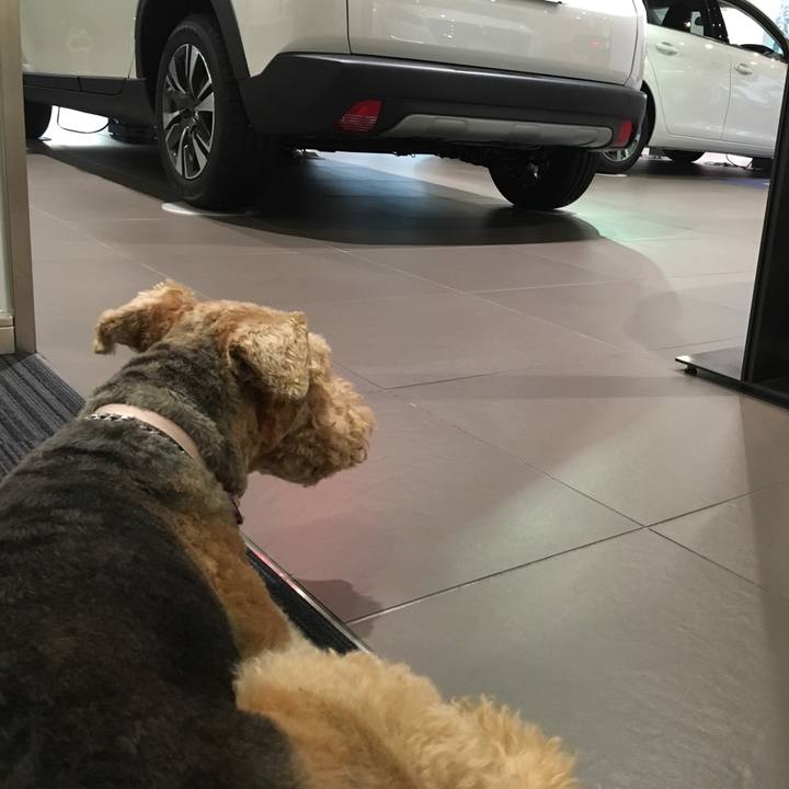 D0fc3f73 8d3a 4b33 800f 304b969370d2 1509962525506