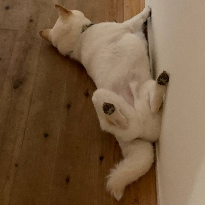 D0fc444f e2ae 426e 851d d39efe91ea10 1628589077551