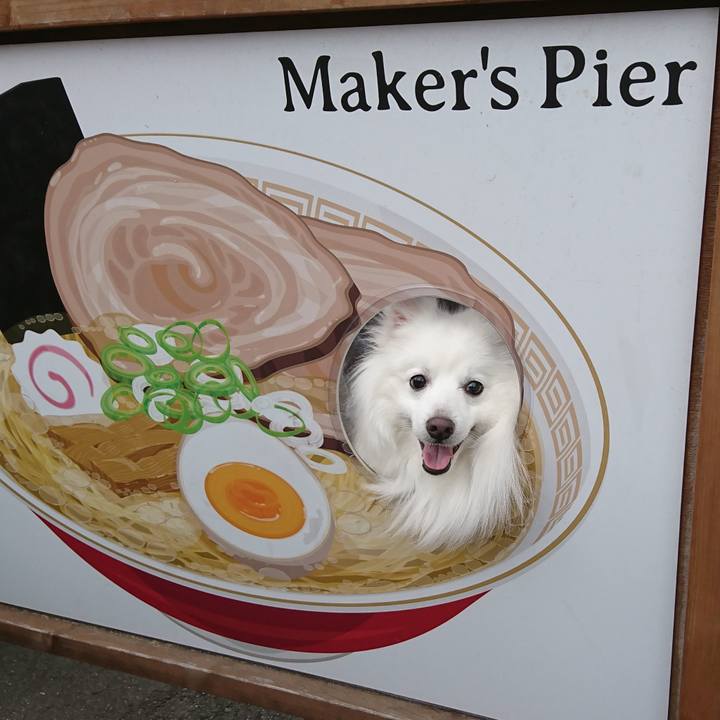 D0fc8535 ee22 4703 bd24 d2ae11b5d420 1616220078111