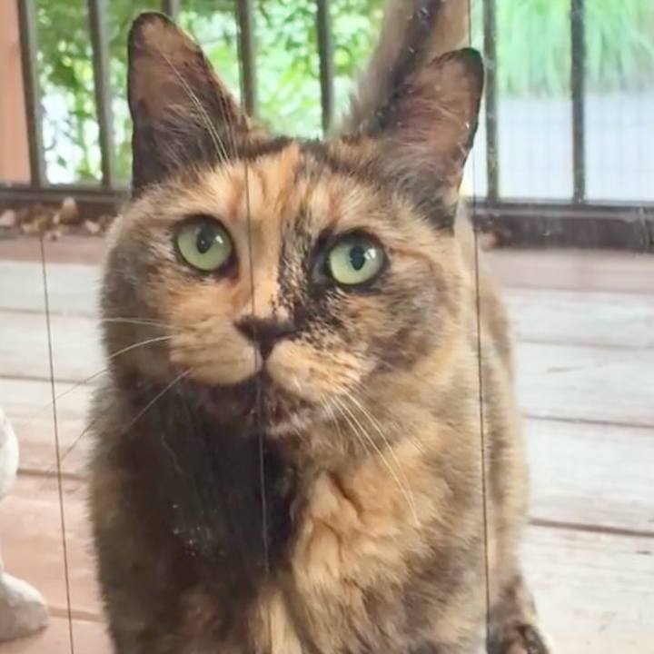 D0fc9733 10c7 4c7e 84ae 53bfce0b3072 1751285670842