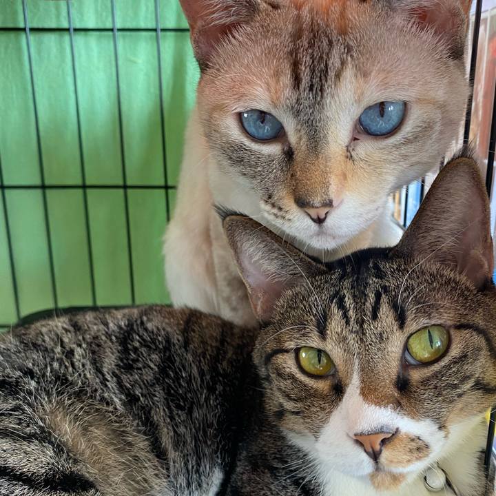 D0fcd3e5 e35e 459f a859 2b285063237d 1724288701679