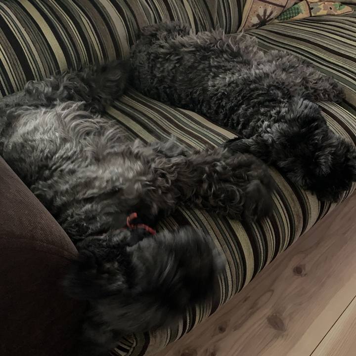 D0fd2605 29a2 4dcd a691 0586f1eb6fc1 1594873112520