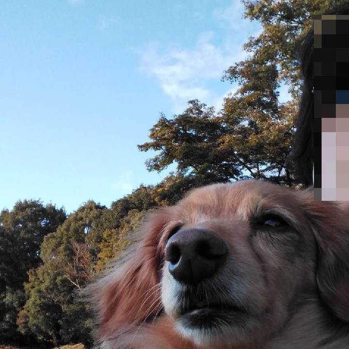 D0fd3224 cb9f 4576 8905 352e7e2459f8 1634814942767