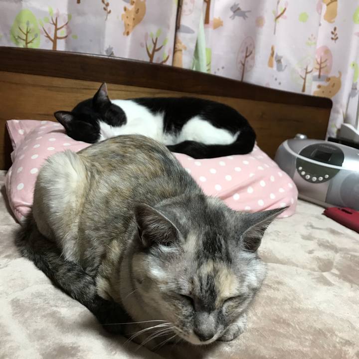 D0fd462f 84a4 4661 857a 6284fb441645 1592485077012