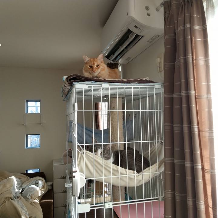 D0fd9ac8 b080 4e75 9df2 4abd2570be88 1641703293068