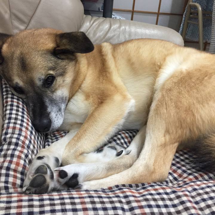 D0fdbf23 5740 498e 95bd d8d1c7b75d52 1517487774133