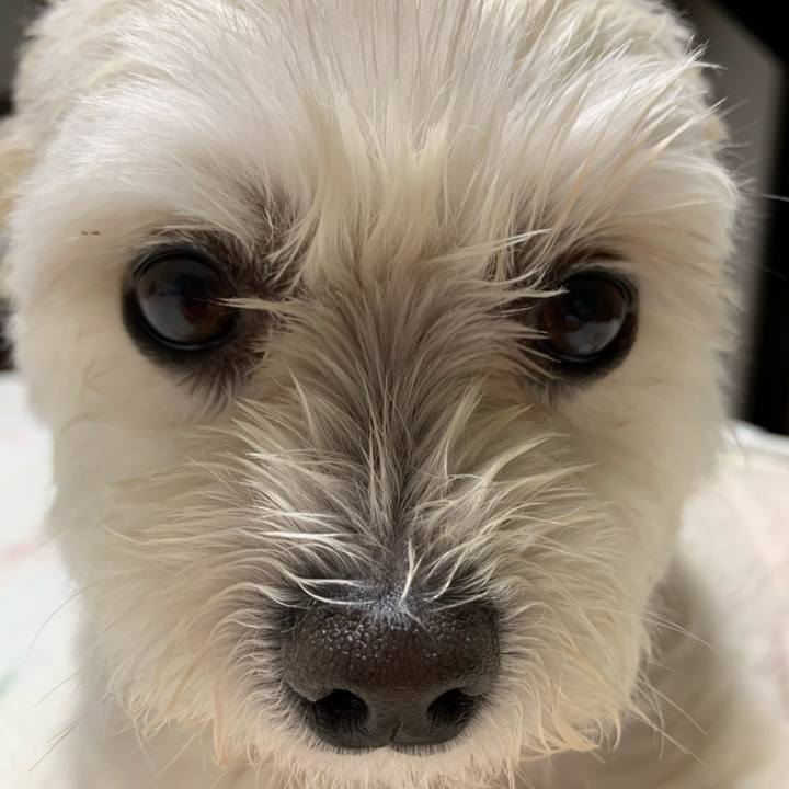 D0fdc796 7d96 4c6b 8ca3 84659a4d55fb 1624108926121