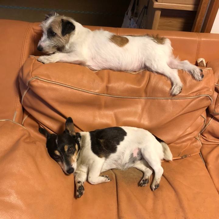 D0fde4ec 3678 462a 90fa 5eb40752f4fd 1529582875622