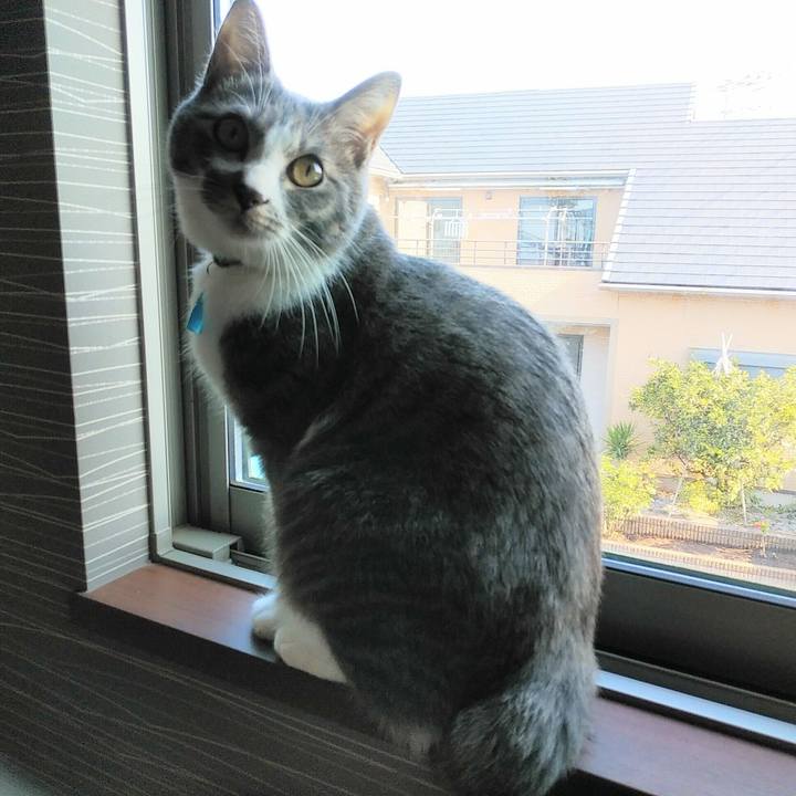 D0fdfe94 bc2b 4565 be4c 26520f988514 1586906564905