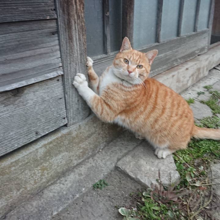 D0fe0bbc e73a 42ad 8b1b 16acb7a87798 1584172865116