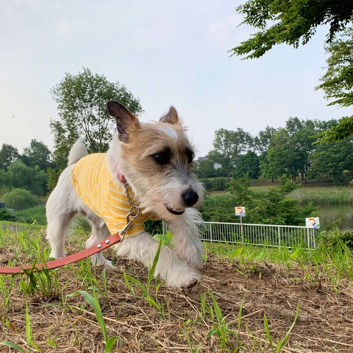 D0fe1387 42bb 4fd2 9684 ab5ca49e7003 1591262654869