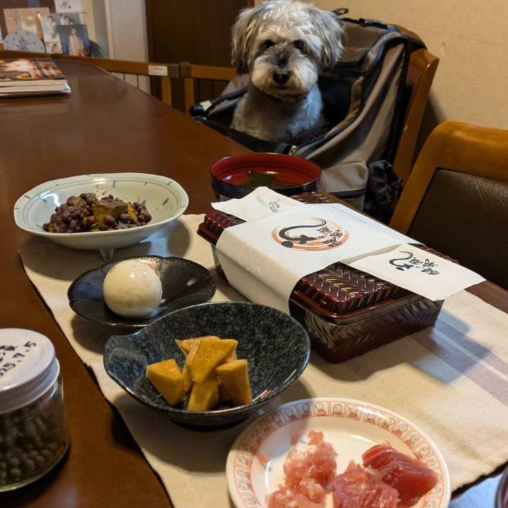 D0fe7b56 d76f 4f4f 9d91 1982c9880663 1755264070310