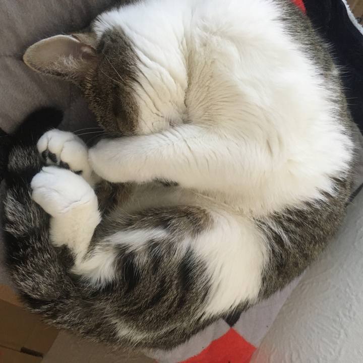 D0fe8808 447f 4a13 9d81 9738a77289fe 1645318288877