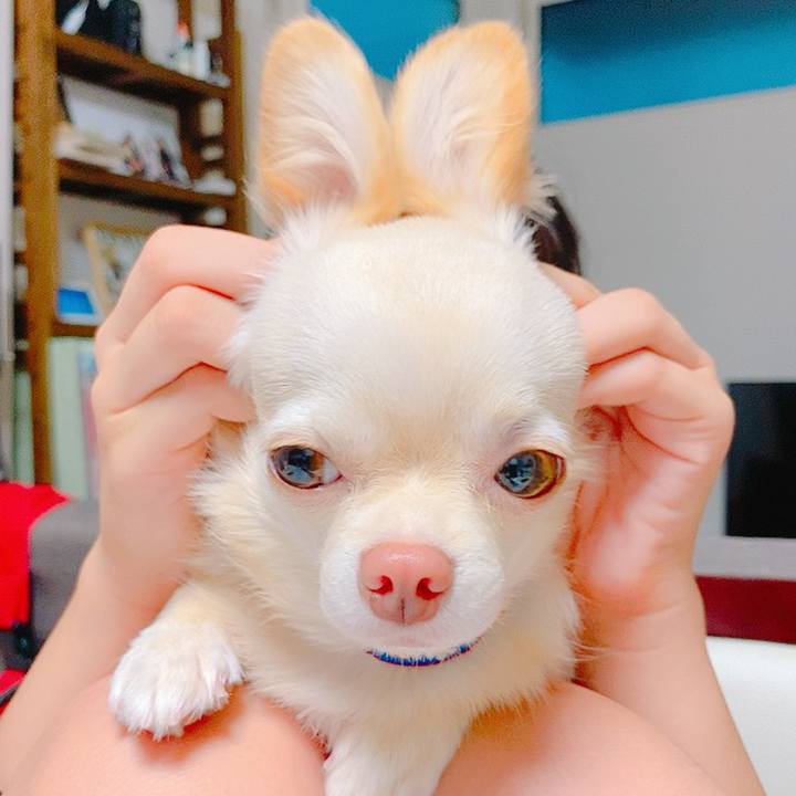 D0feb579 19b1 4ba9 9c89 170f4764b635 1632139307474