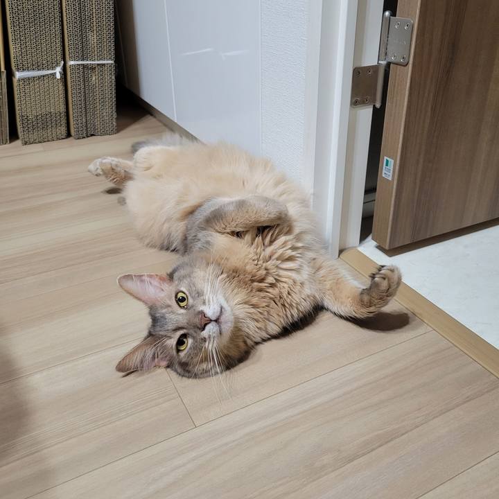 D0febd59 e9aa 4ef9 90cb c836d6419699 1690038922505