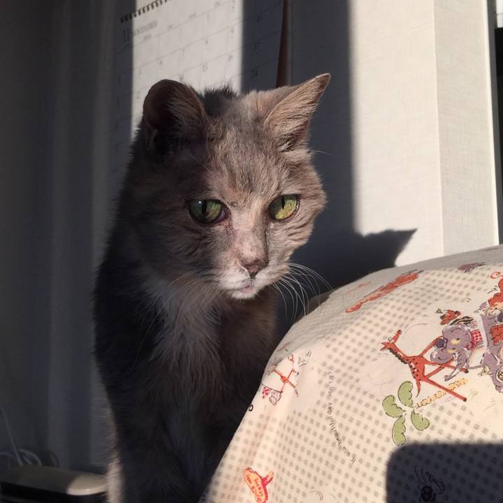 D0fed2c6 3f43 44b8 8544 c00ea8873983 1543044068521