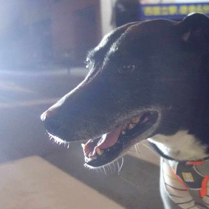 D0feda25 2b90 455f 85f3 561f79436960 1705488948563