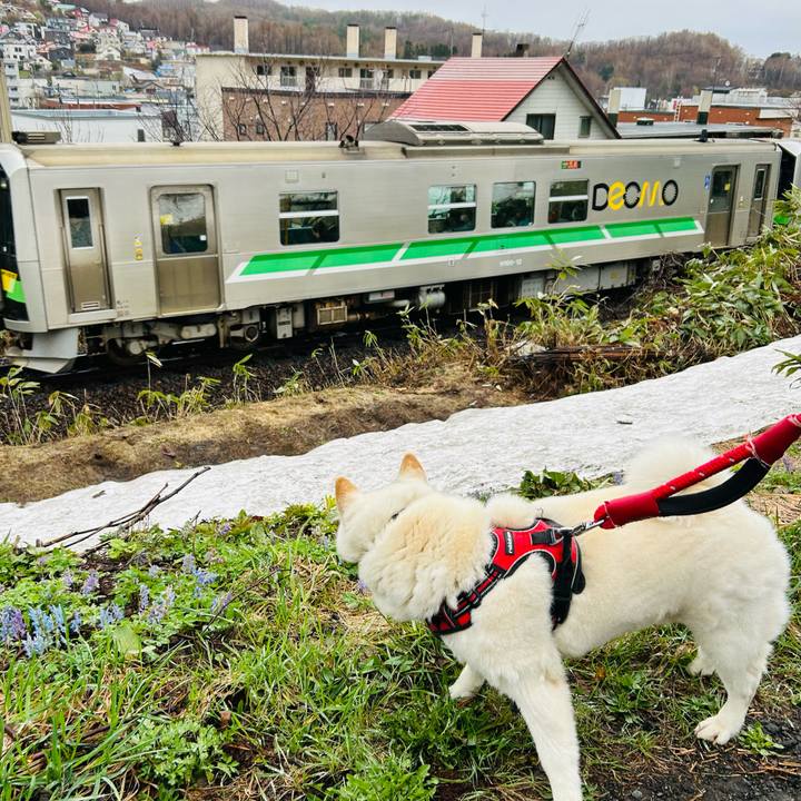 D0fedfe2 2cb3 458e a441 468010a7fffa 1713656940921