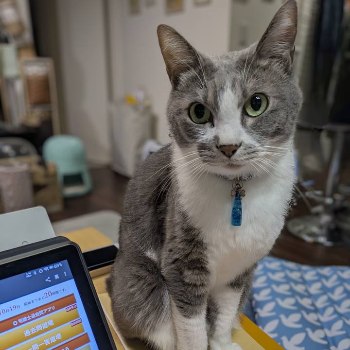 D0fee18b ab40 41d5 b184 9fbc927cadcb 1760777866839