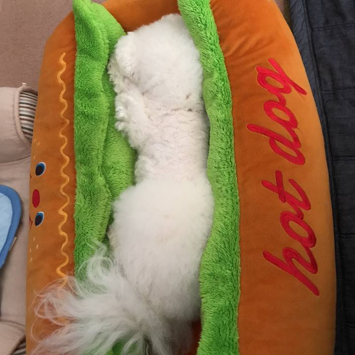 D0fefc3b 158a 4cf1 9bdf e130bc66e282 1531097167521