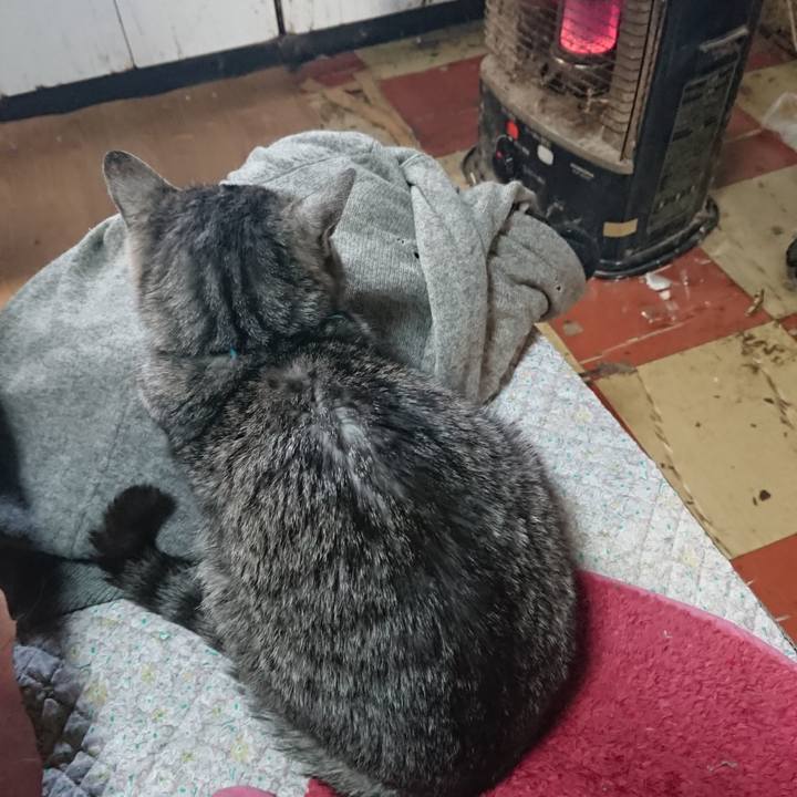 D0ff3006 6a05 4c4b 9d5a 7c84700399ba 1576898267477