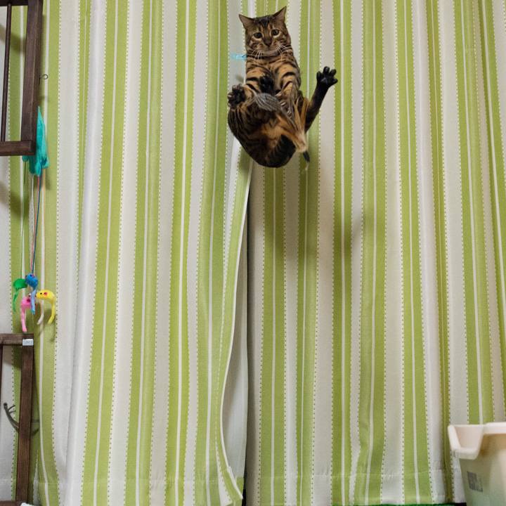 D0ff83e4 bae0 4f7b a4ca cade33f5be12 1517842606505