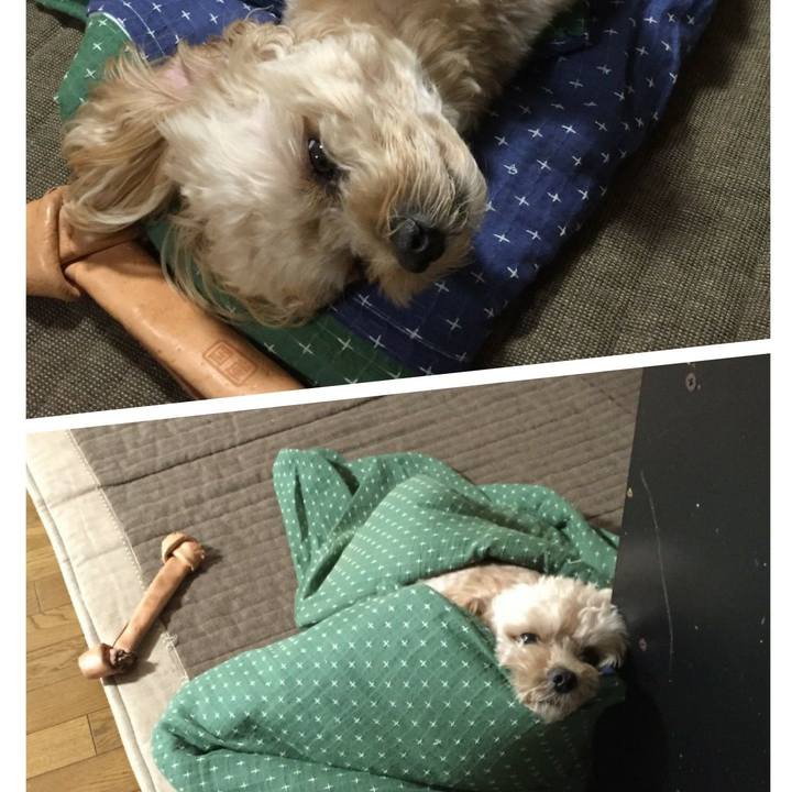 D0ffca6b 5620 4dea a048 66f3367b0f7b 1538490567973