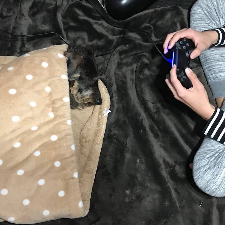 D0ffcbf0 b621 4506 926a 1b05c5b8d64f 1548511740169