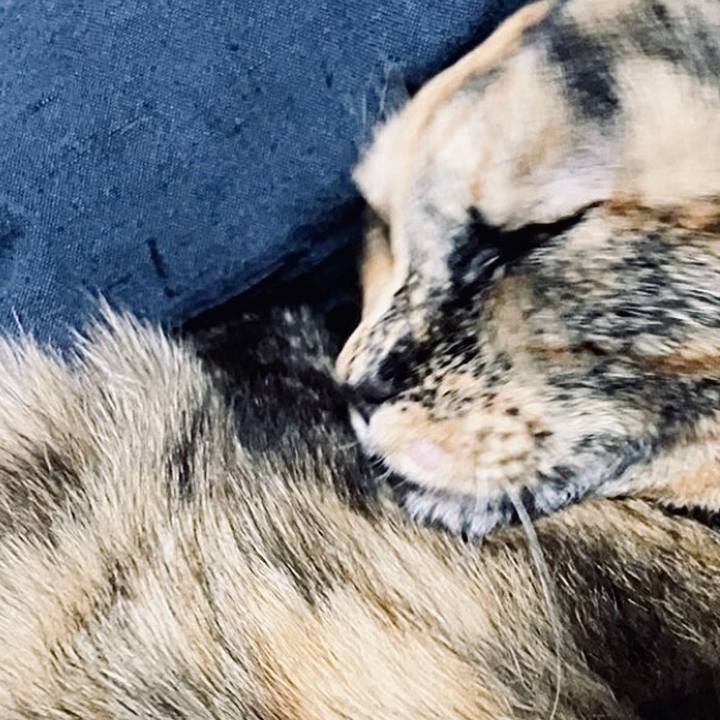 D0ffdfbc 949e 4c2b 8831 e239892bafee 1736768994481