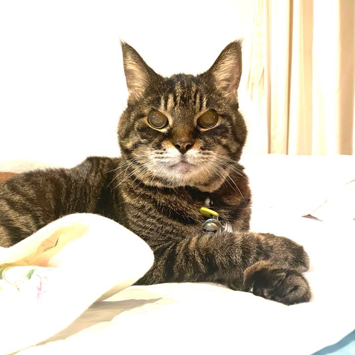 D1002564 62a3 429a b6f4 7923ab6fb4f7 1759236291659