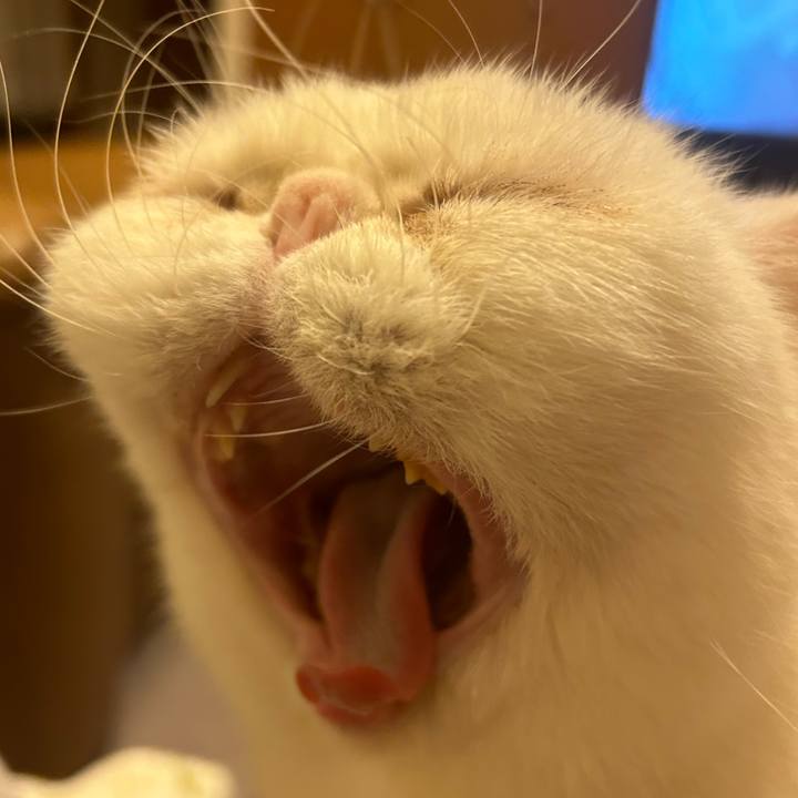 D100563e 348a 4b24 adde 6d78b4ae48a9 1731153803168