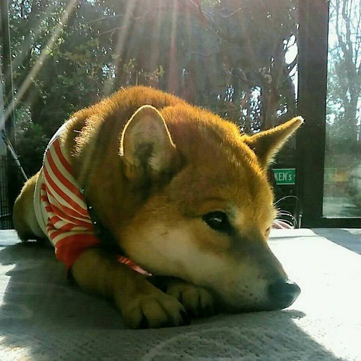 D100a687 4b44 41b6 ad60 ff80cb2c8cce 1576809432134