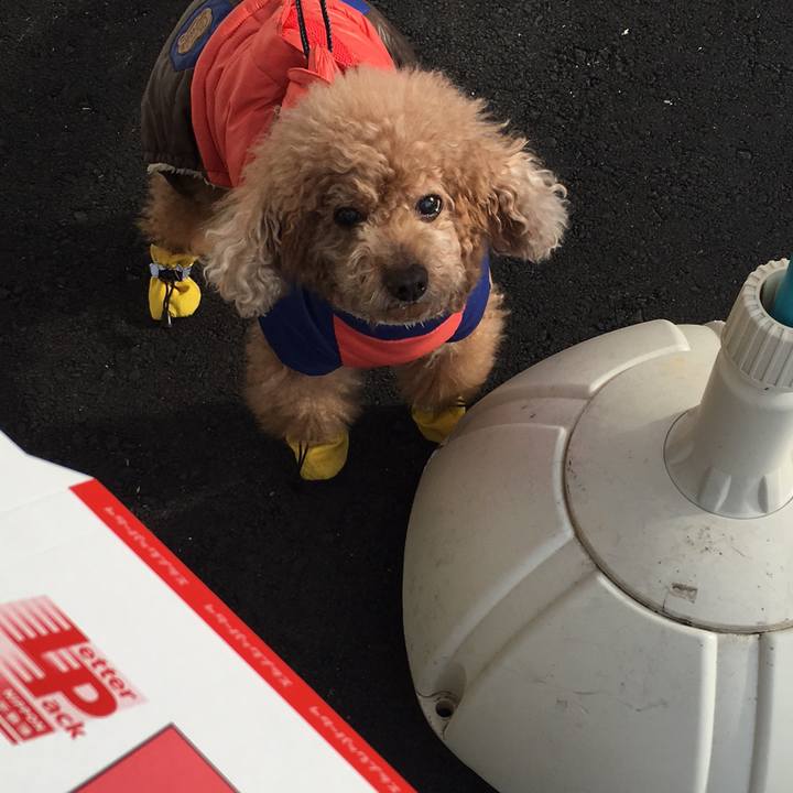 D100d5a5 6c04 4edd adf9 7f31b5333fac 1523090311530