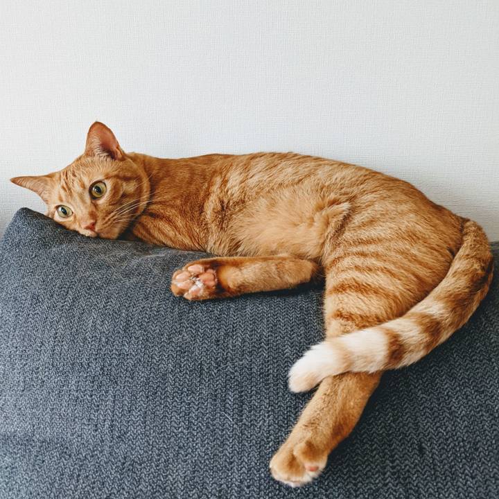 D100e726 c11c 4ddb a4b7 939040018809 1627722665296