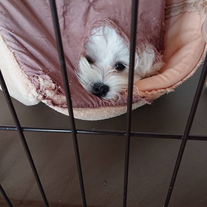 D10121de 77d9 4fc8 9f83 eaacaf9cdd60 1562643592277