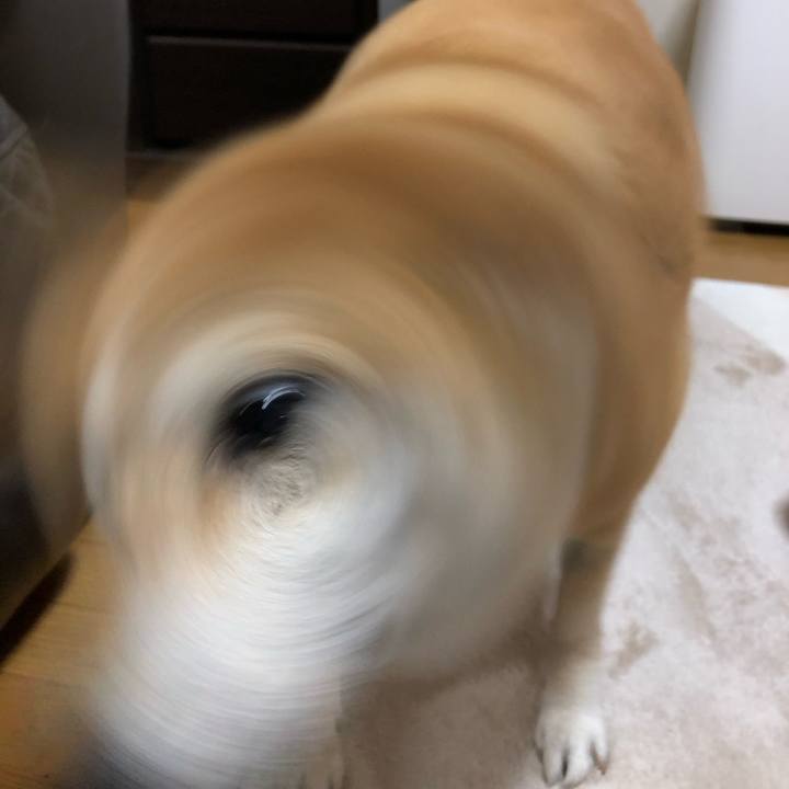 D10128f0 d99c 4098 b32c fd7ac5b0c0e1 1551918593374