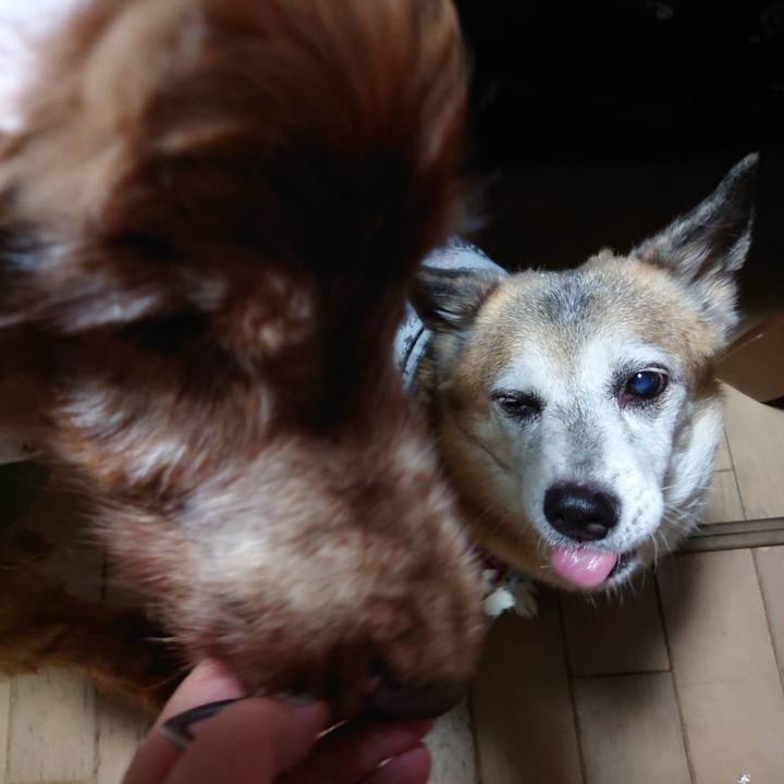 D1012aa3 26e6 4d3d a8b3 7946082e4f83 1687496057675