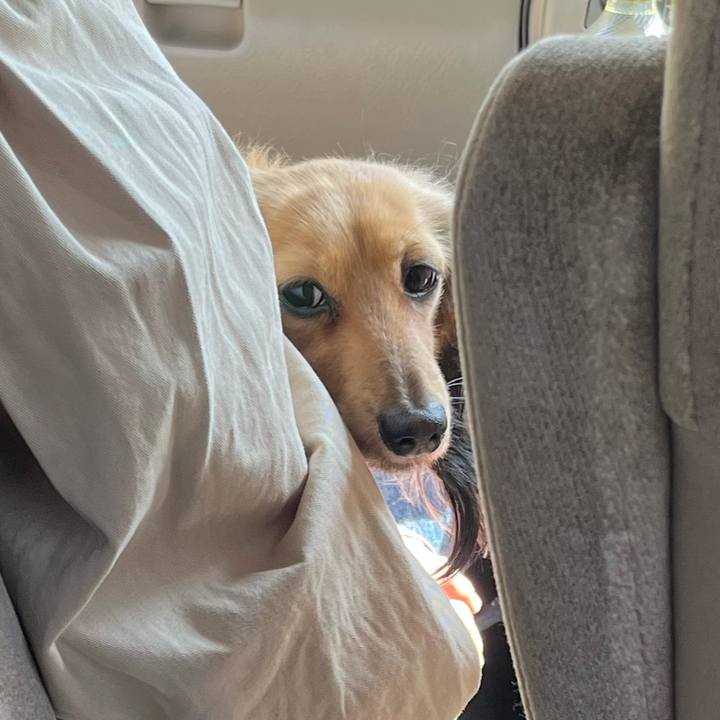 D101390f 28d1 4653 882b 97576d4c9764 1680357993704