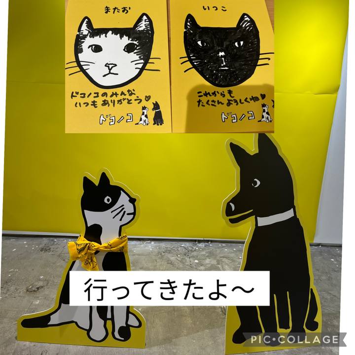 D101b378 28e0 4f08 af9c b1f555b07225 1762211170314