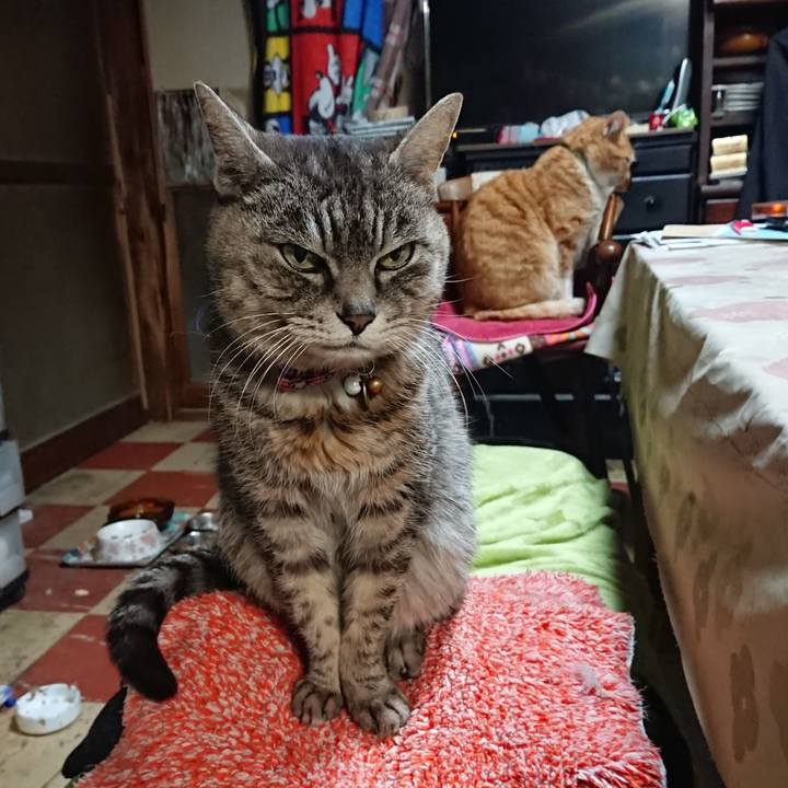 D1020f8a 0e83 40b3 9506 762b83a06198 1581541706320