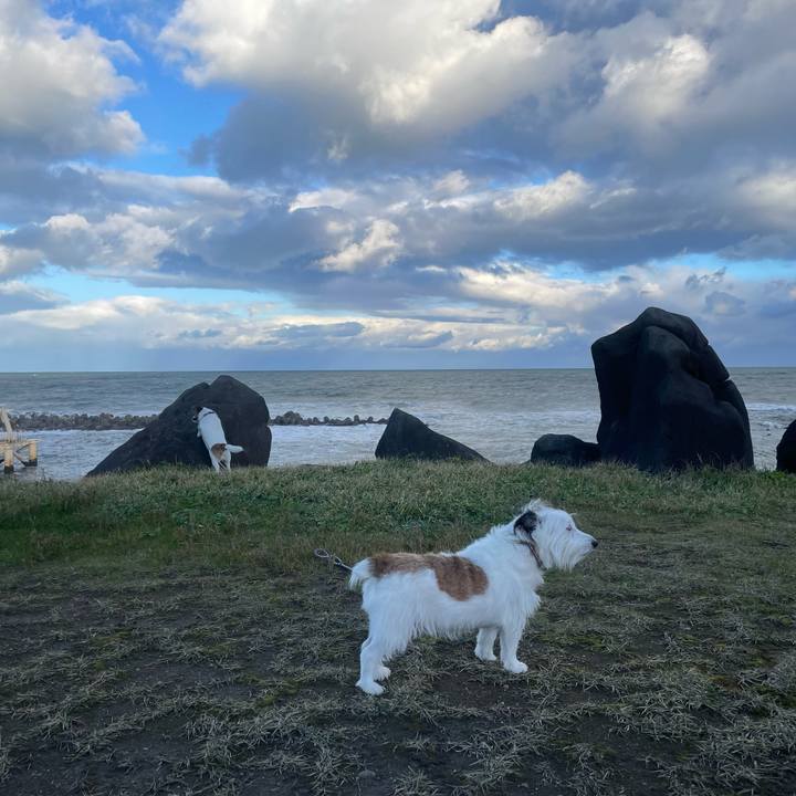 D1023f95 c84c 434b a2d4 80665c21a1f2 1699920397955