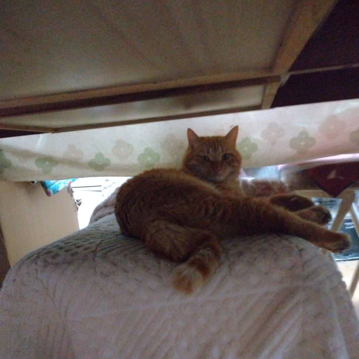 D1025390 2c9b 43a0 893c 6cc7427127e8 1670025344056