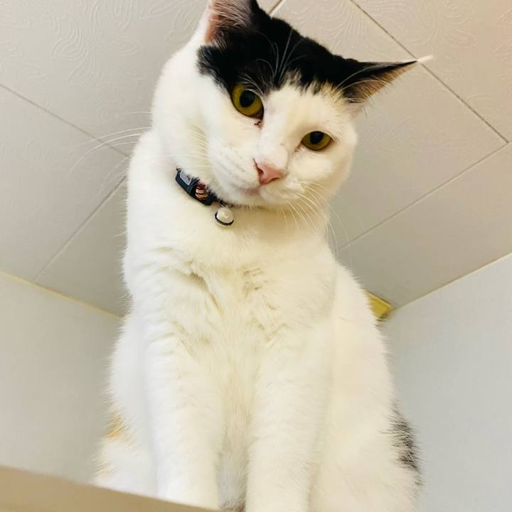 D1026949 0602 4f9c 84bb 7e2af15fffed 1670242006918