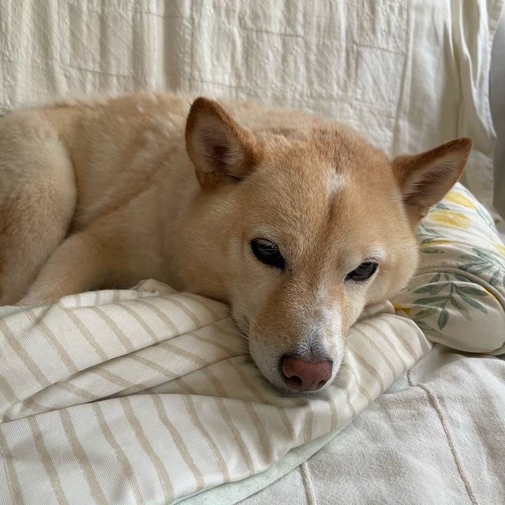 D102a395 afa7 4af2 ab8c 14f38cd6c2a2 1722203380120