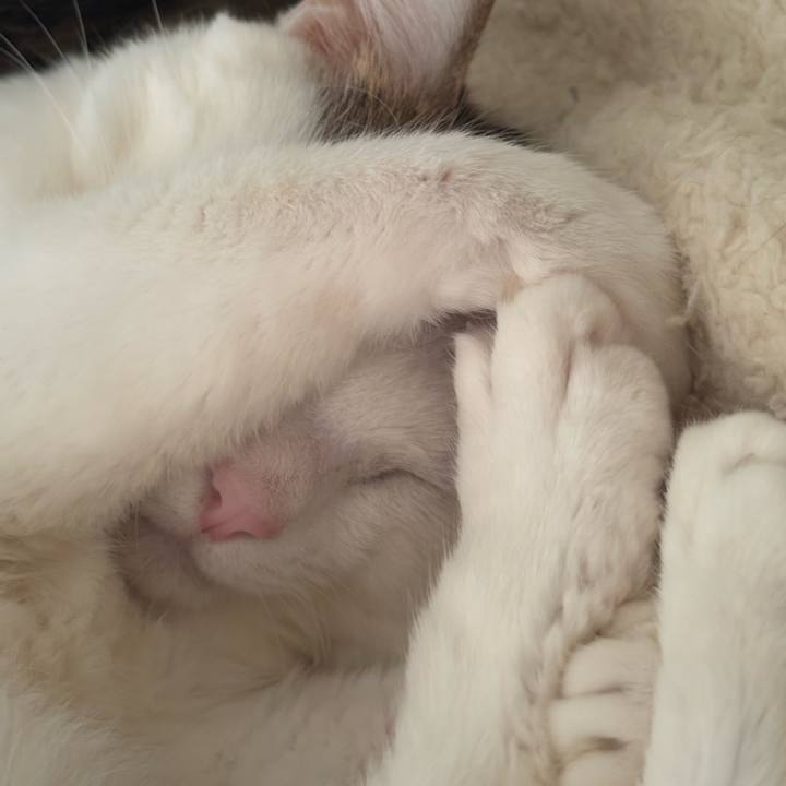 D102ac36 6338 4a9c a7de 182b5bc979ea 1743042250167