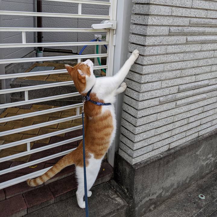 D102bde8 87e7 4c6a 97a8 7fd2e3474b5f 1566780091712