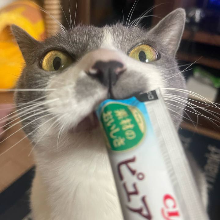 D102ce89 1e12 43ce 9efe 7e642c75f7d7 1712384171455