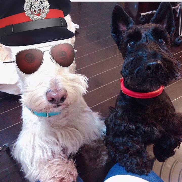 D102e422 6d60 413a 932c 1deb99a15bfc 1562339595921