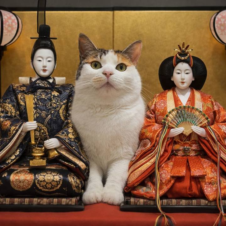 D1031e06 7aa7 49c4 9436 0cf87023ae87 1772531379552